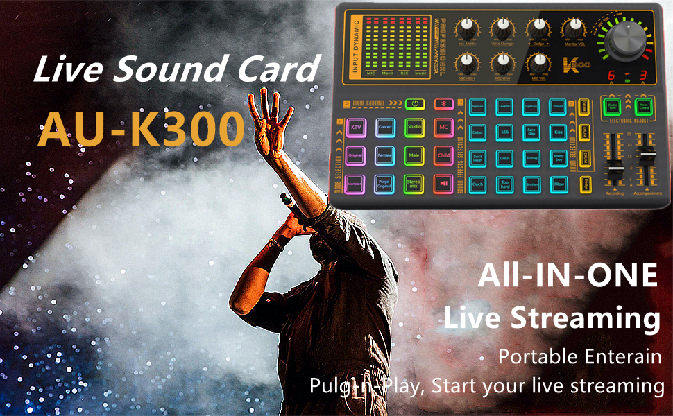 Live Sound Card