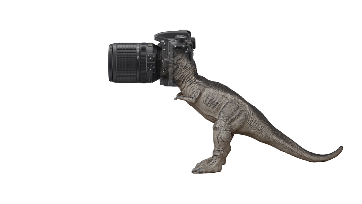 Digital Dinosaurs: Are DSLR Cameras Considered Old News in 2024?
