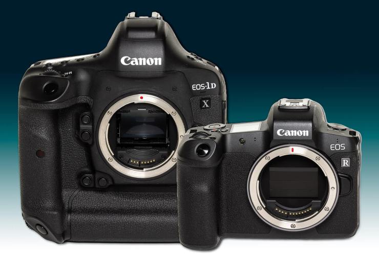 Canon 1Dx and EOS R size comparison