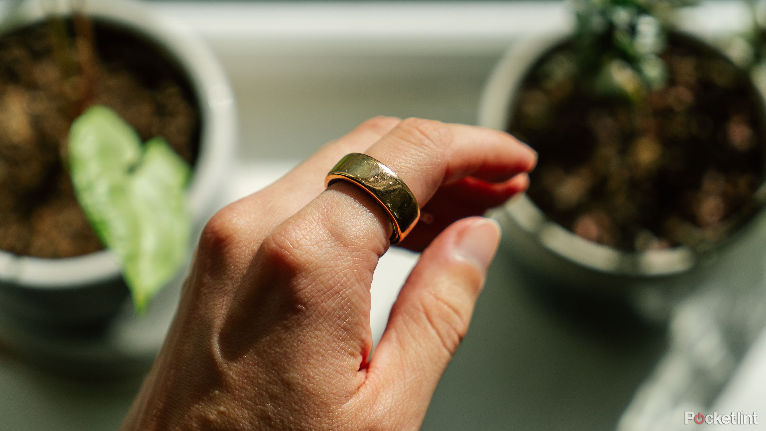 A hand wears an Oura ring in front of some plants on a windowsill. 